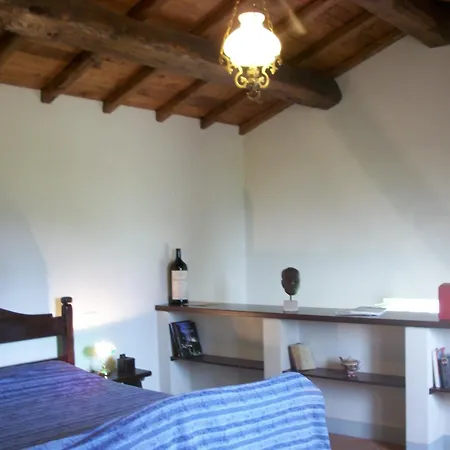 Coriana & Apartment